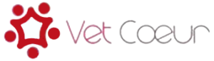 logo Vêt'Coeur